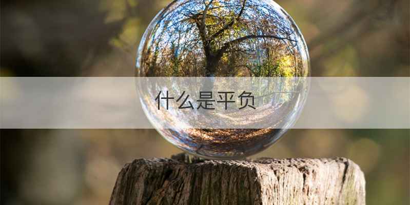 什么是平负