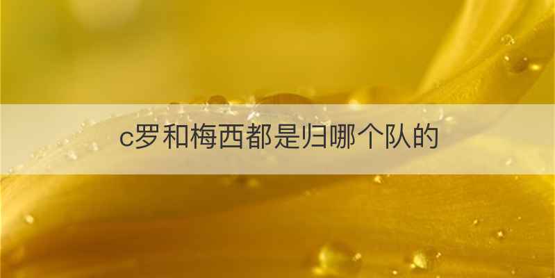 c罗和梅西都是归哪个队的