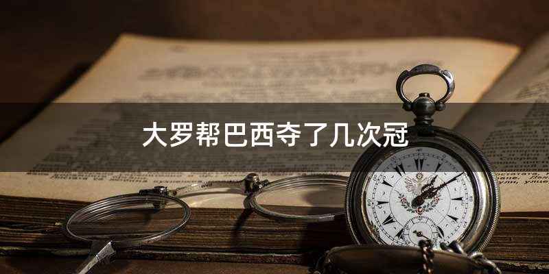 大罗帮巴西夺了几次冠