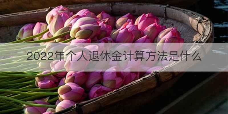 2022年个人退休金计算方法是什么