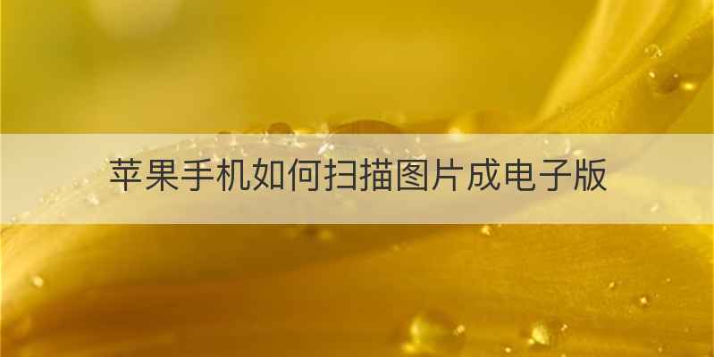 苹果手机如何扫描图片成电子版