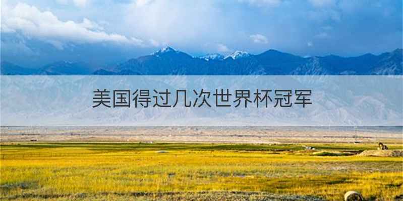 美国得过几次世界杯冠军