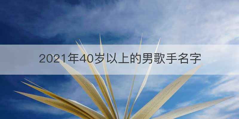 2021年40岁以上的男歌手名字