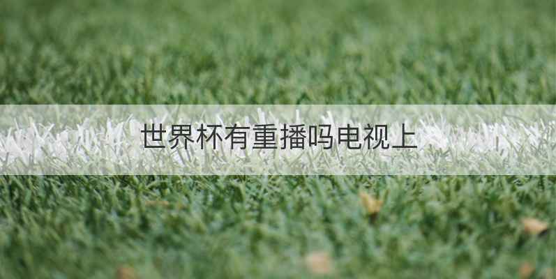 世界杯有重播吗电视上