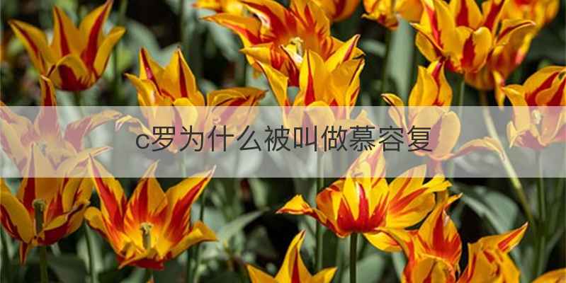 c罗为什么被叫做慕容复