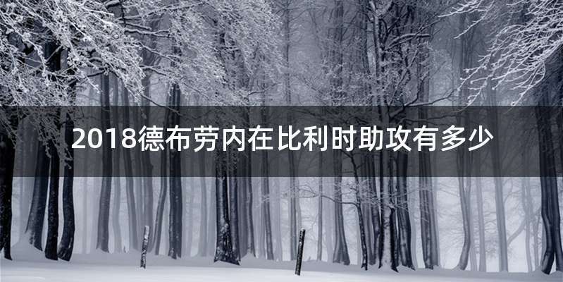 2018德布劳内在比利时助攻有多少