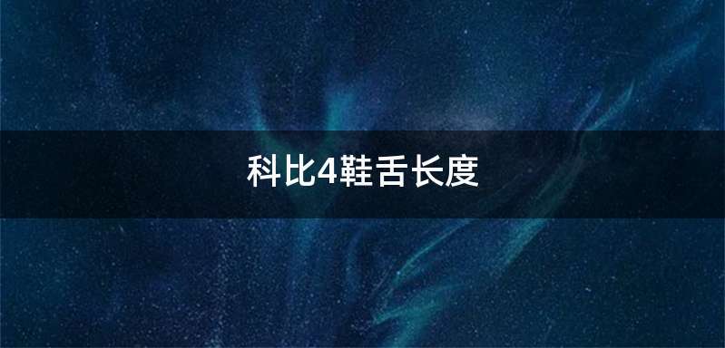 科比4鞋舌长度