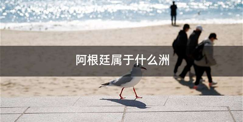 阿根廷属于什么洲