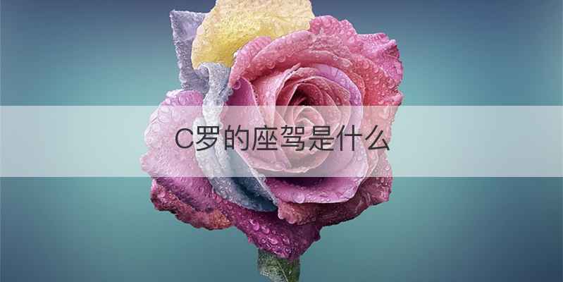 C罗的座驾是什么