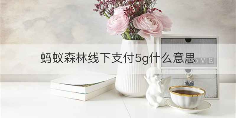 蚂蚁森林线下支付5g什么意思