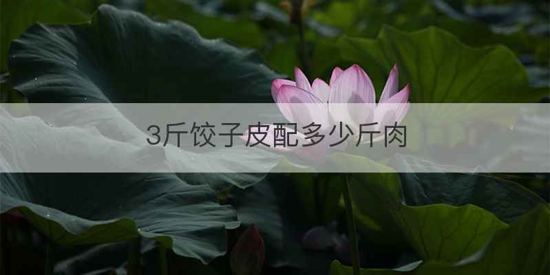 3斤饺子皮配多少斤肉