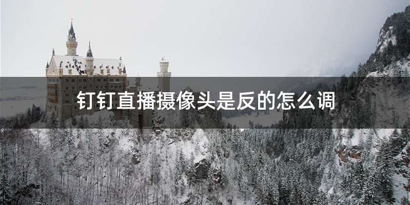 钉钉直播摄像头是反的怎么调