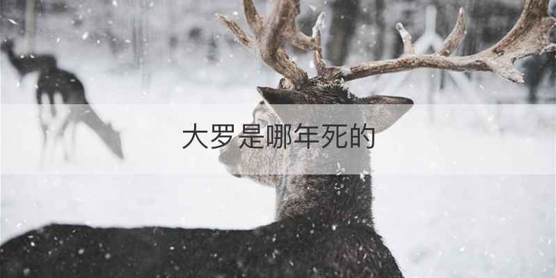 大罗是哪年死的