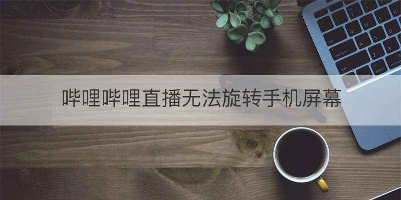 哔哩哔哩直播无法旋转手机屏幕