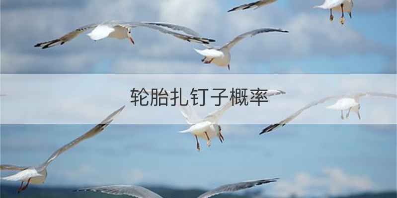 轮胎扎钉子概率