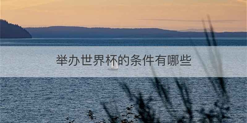 举办世界杯的条件有哪些