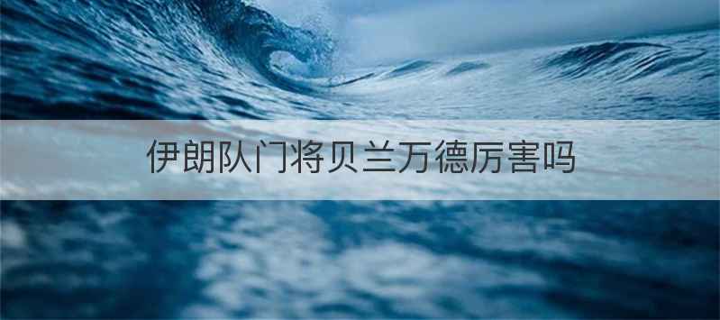 伊朗队门将贝兰万德厉害吗