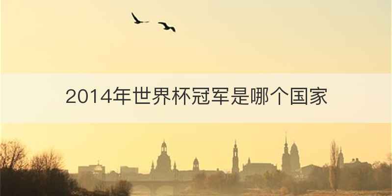 2014年世界杯冠军是哪个国家