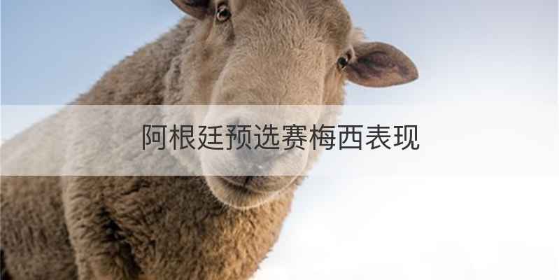 阿根廷预选赛梅西表现