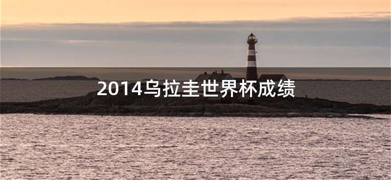 2014乌拉圭世界杯成绩