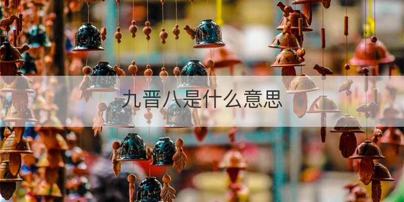 九晋八是什么意思