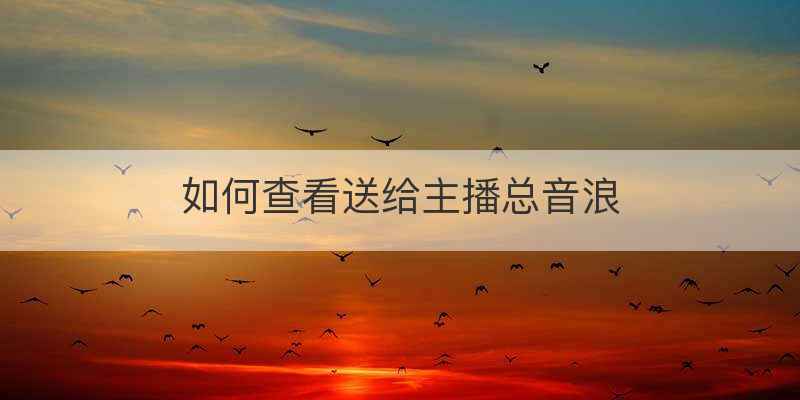 如何查看送给主播总音浪