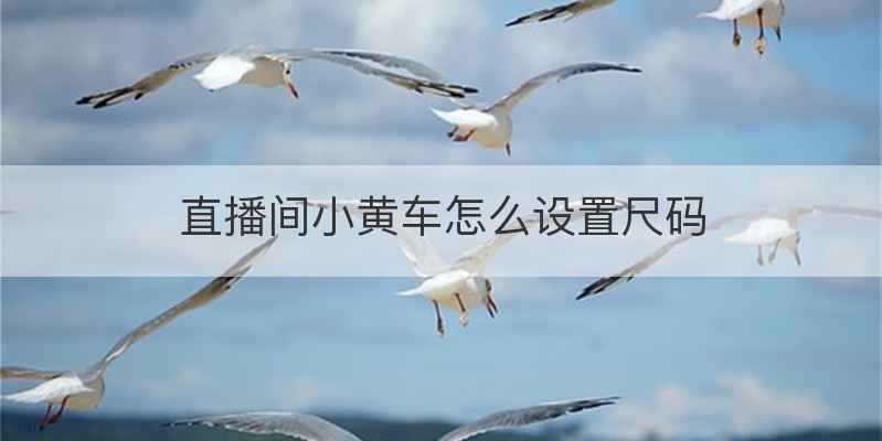 直播间小黄车怎么设置尺码