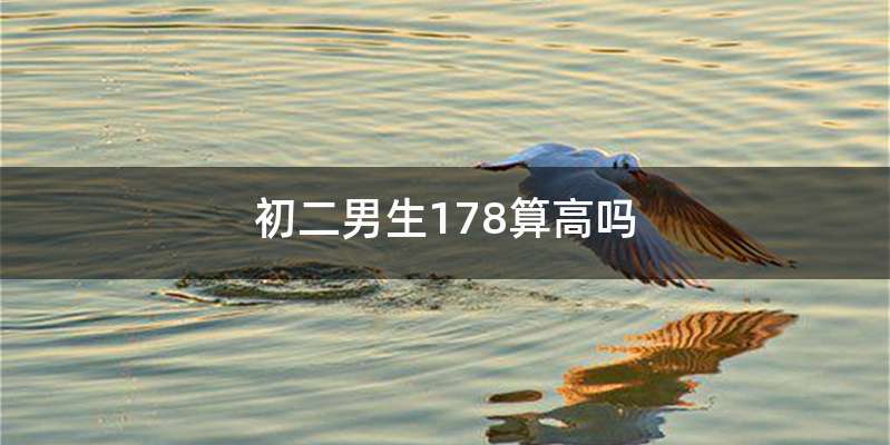 初二男生178算高吗