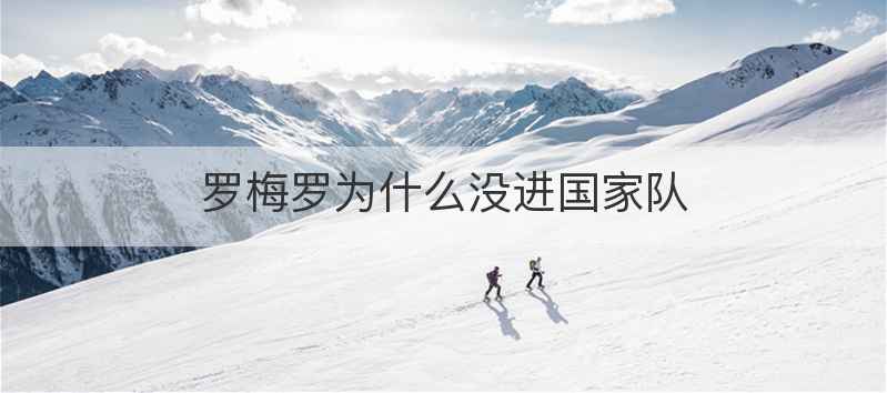 罗梅罗为什么没进国家队