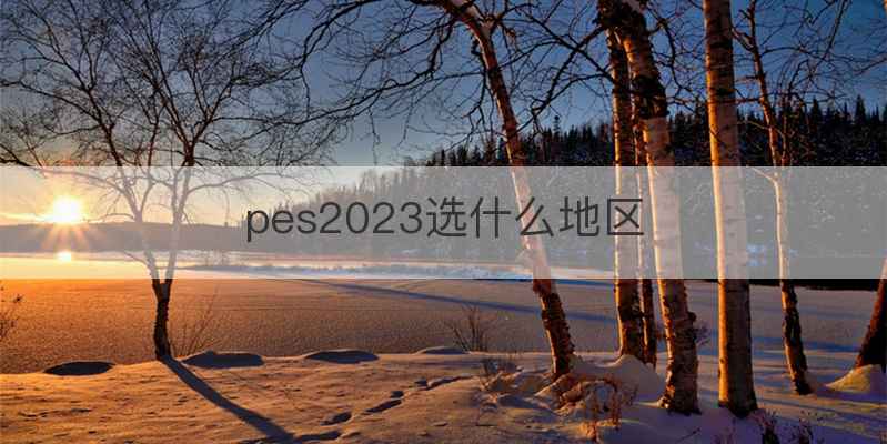 pes2023选什么地区