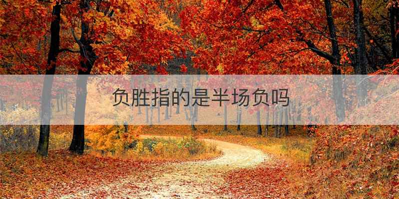 负胜指的是半场负吗