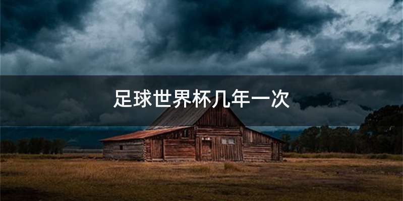 足球世界杯几年一次