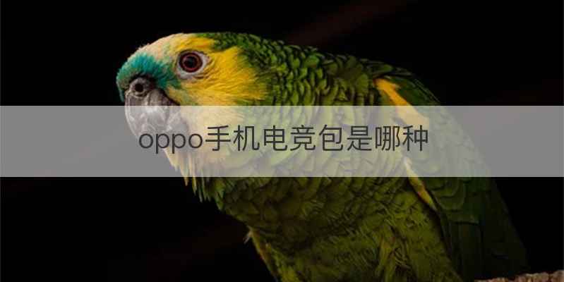 oppo手机电竞包是哪种