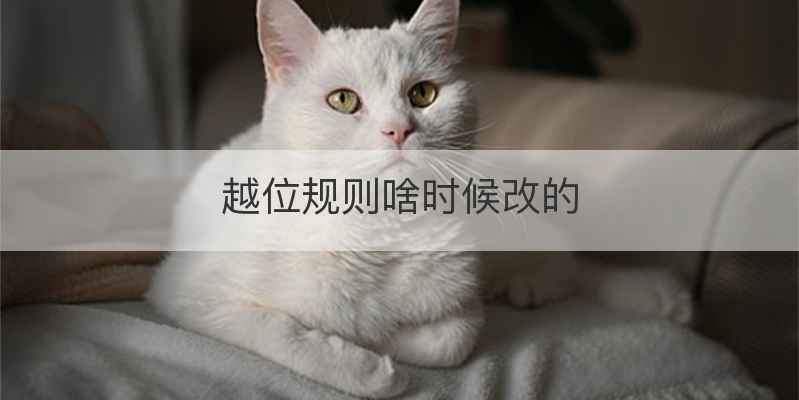 越位规则啥时候改的
