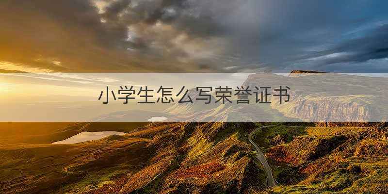 小学生怎么写荣誉证书