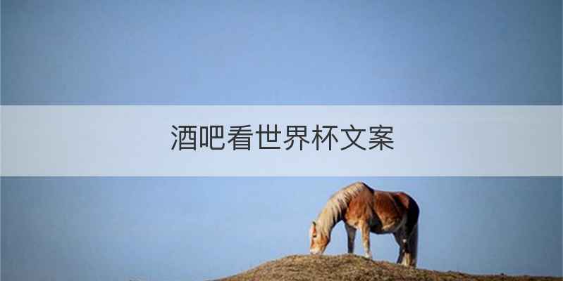 酒吧看世界杯文案
