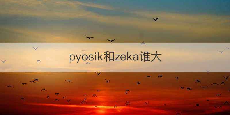 pyosik和zeka谁大