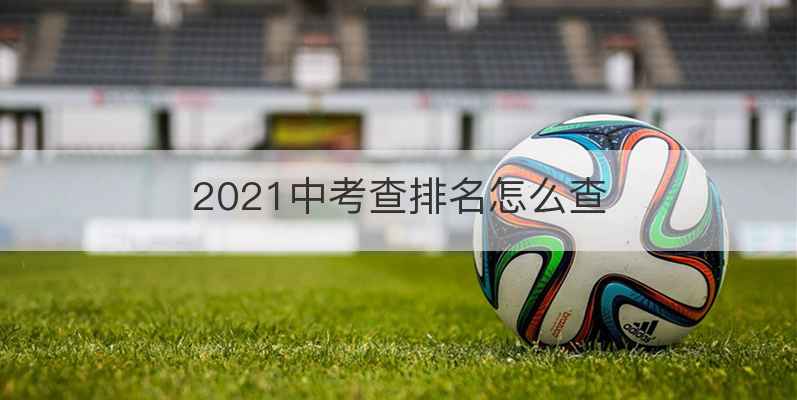 2021中考查排名怎么查