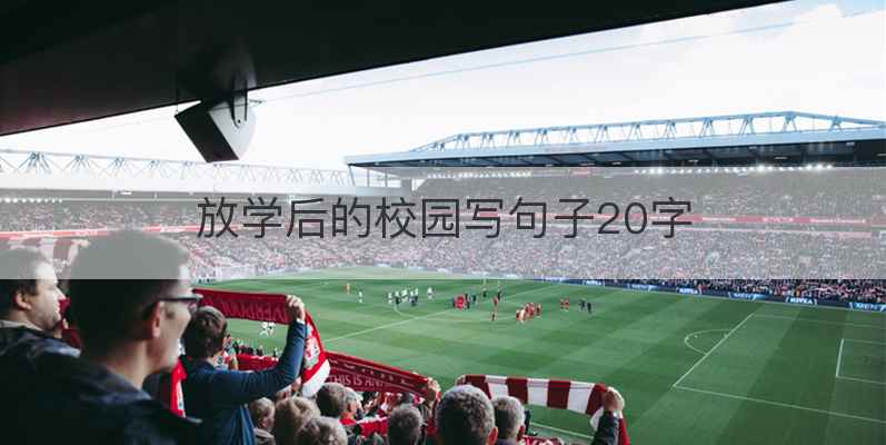 放学后的校园写句子20字