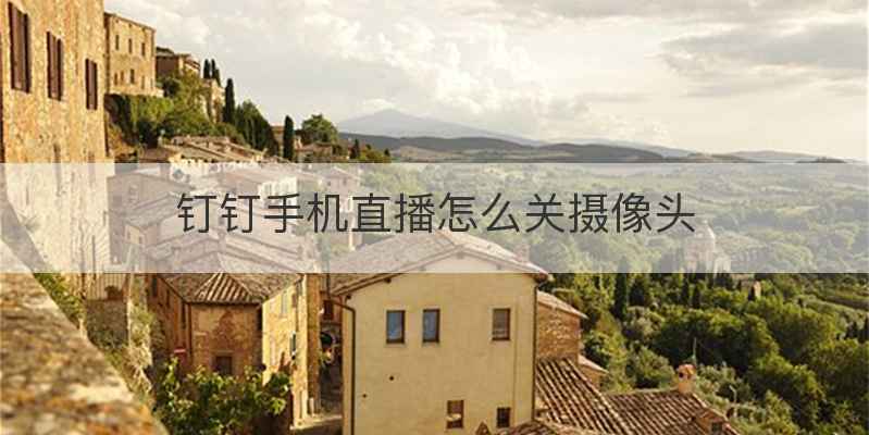 钉钉手机直播怎么关摄像头