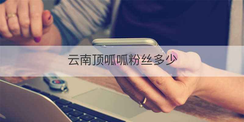 云南顶呱呱粉丝多少
