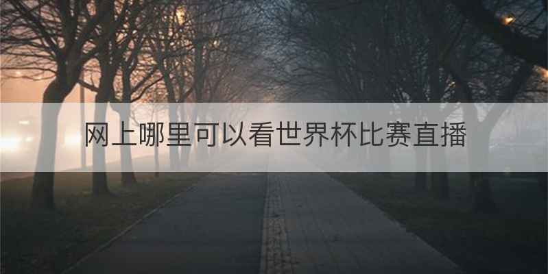 网上哪里可以看世界杯比赛直播