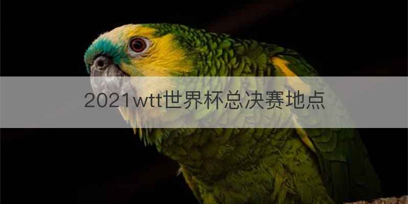 2021wtt世界杯总决赛地点