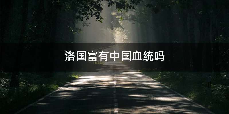 洛国富有中国血统吗