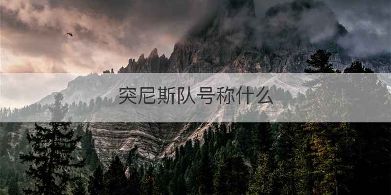 突尼斯队号称什么