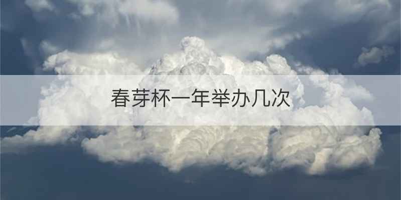 春芽杯一年举办几次