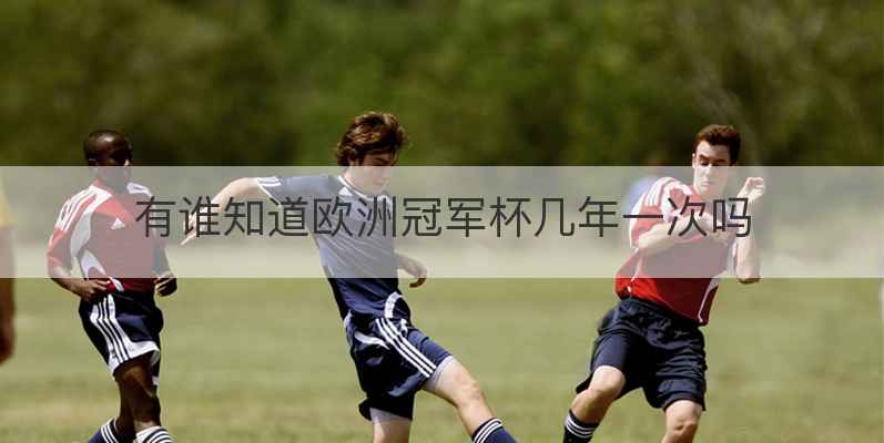 有谁知道欧洲冠军杯几年一次吗