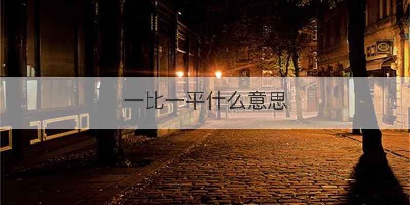一比一平什么意思