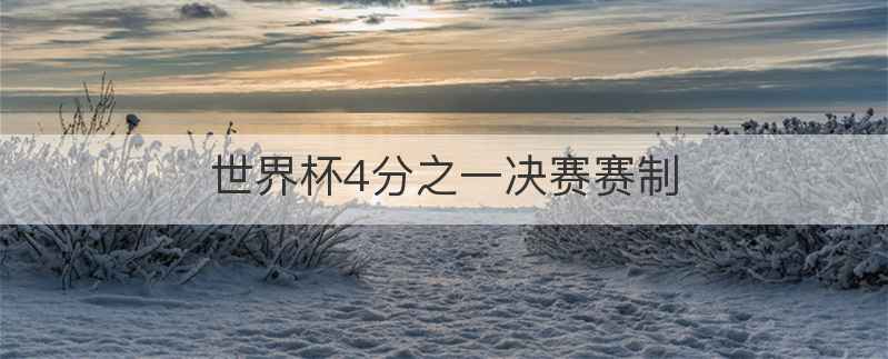 世界杯4分之一决赛赛制