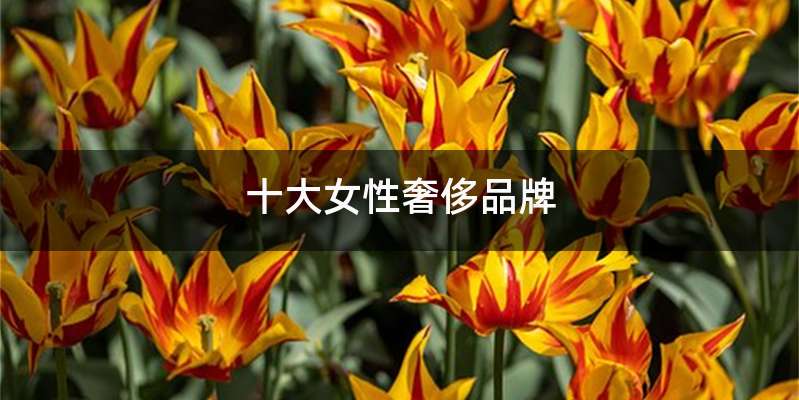 十大女性奢侈品牌